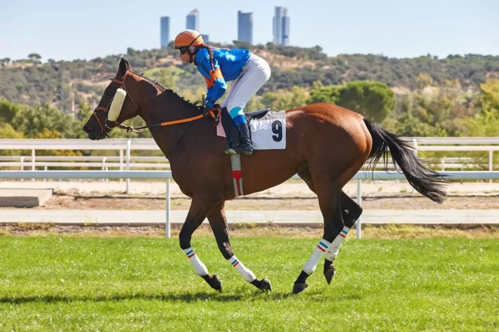 Ein Jockey auf einem Pferd