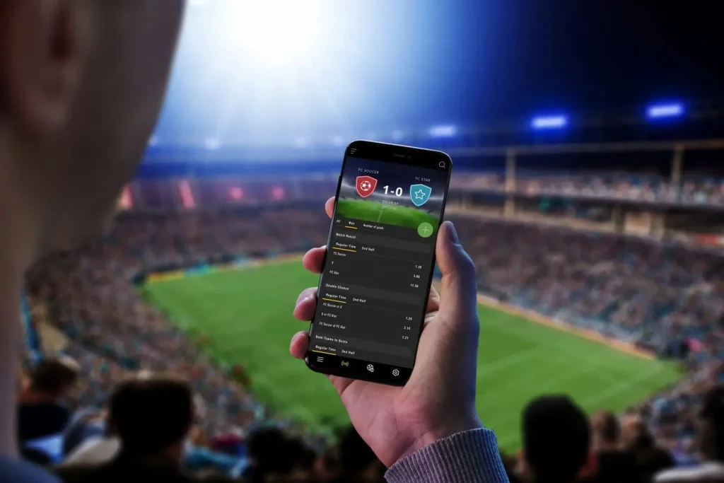 Fan schaut im Stadion auf Smartphone