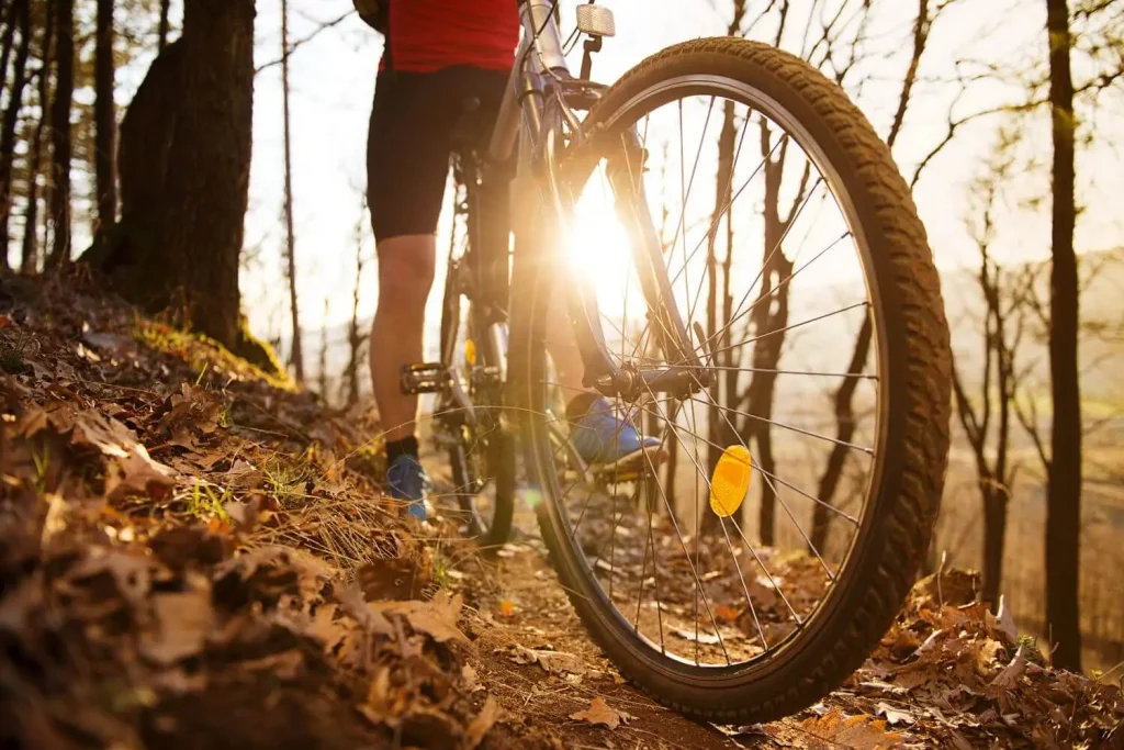 Mountainbike im Wald in der Herbstzeit