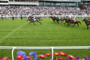 Mehrere Pferde und ihre Jockeys im Galopprennen 2025