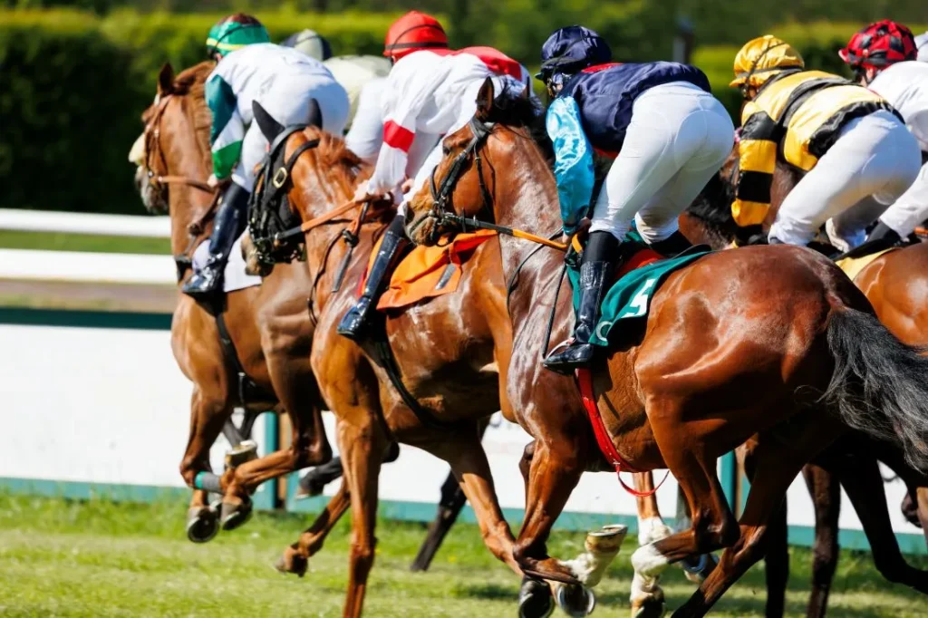 Mehrere Jockeys reiten Internationale Galopprennen 2025 aus