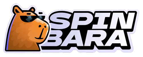 Logo von Spinbara